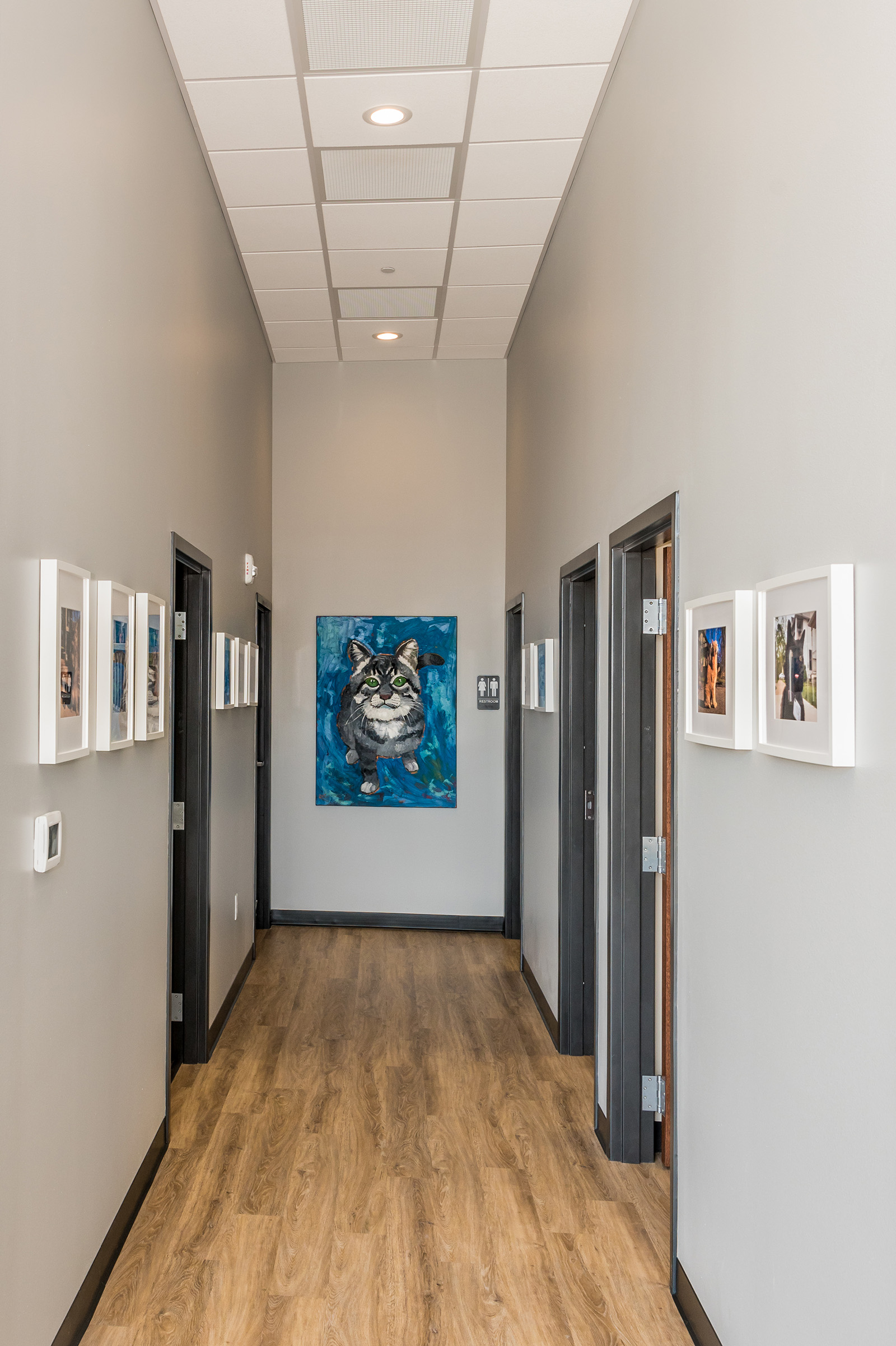 Hallway to Observation Rooms at Cat Care Clinic