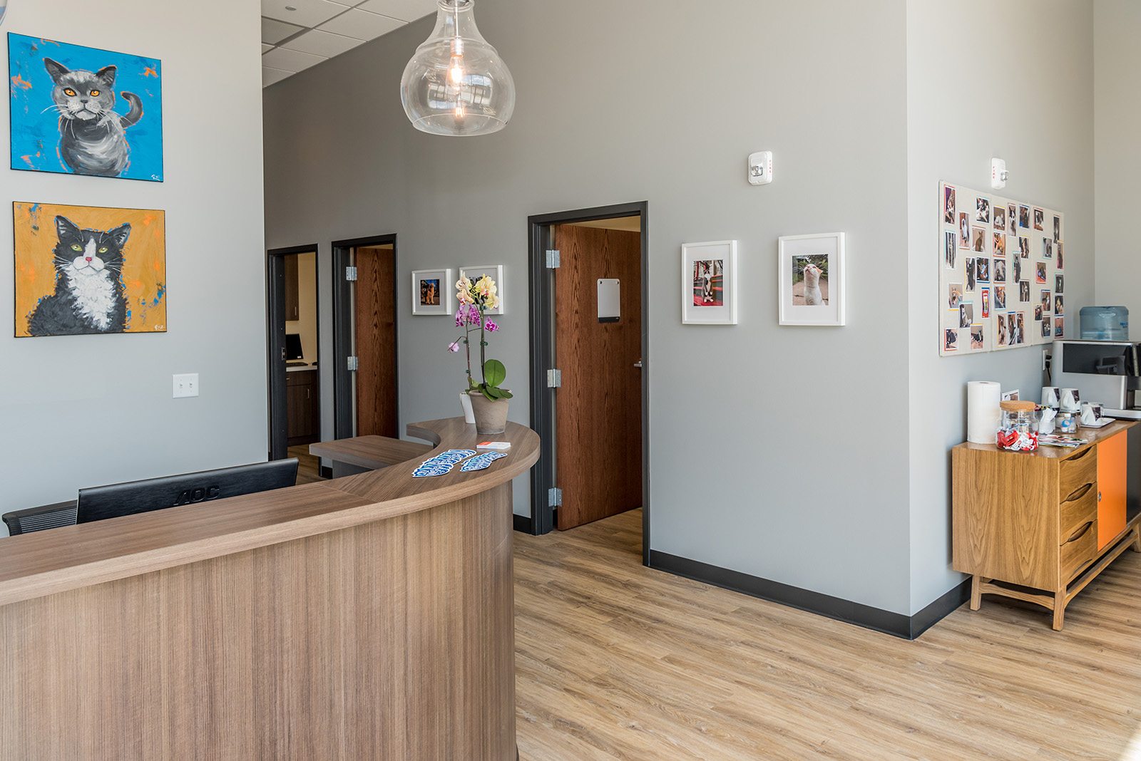 Lobby Alternate View at Cat Care Clinic