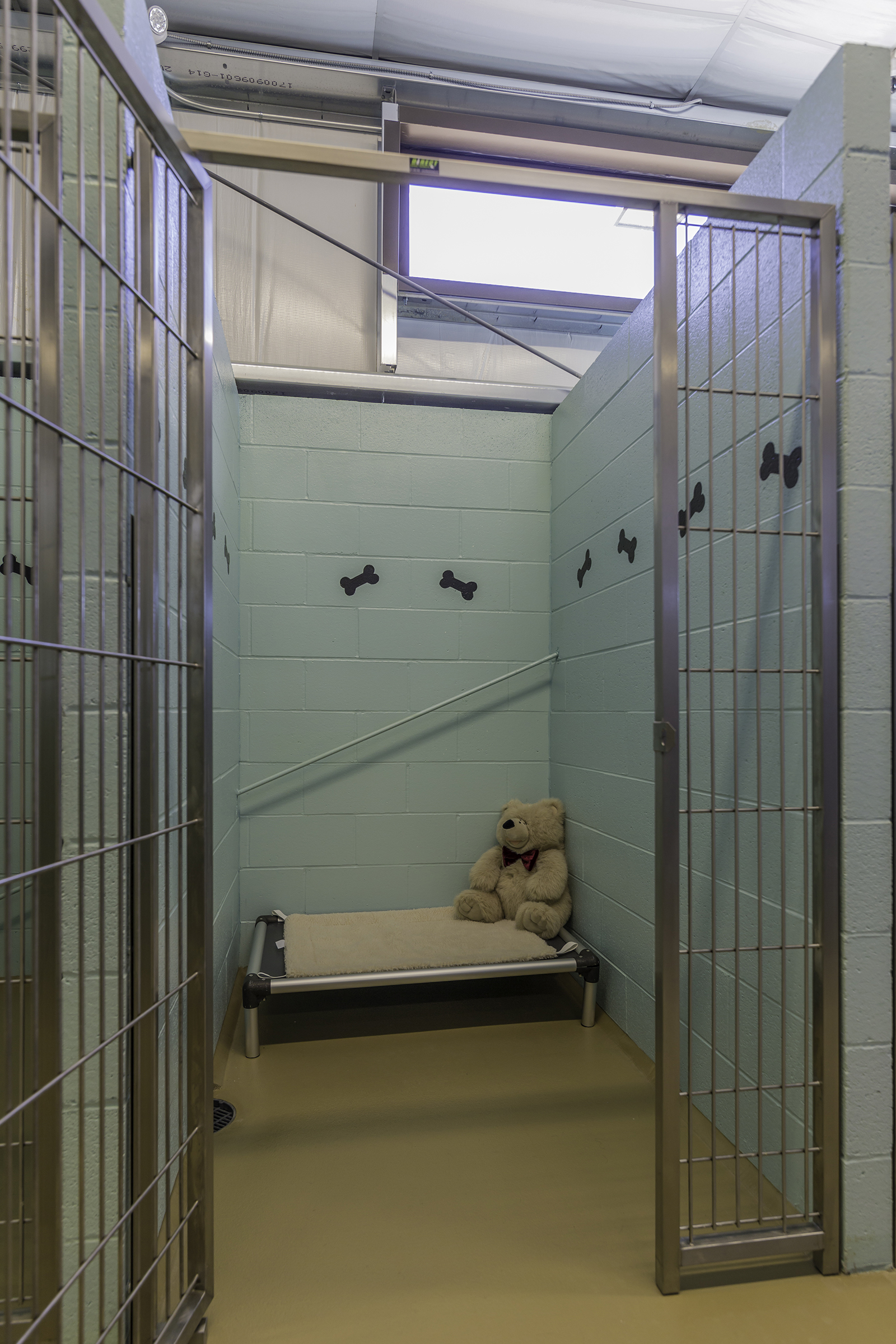 Dog Kennel at Tailwaggers Doggy Daycare