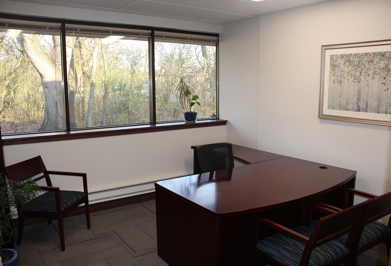 Executive Office at QRL Financial